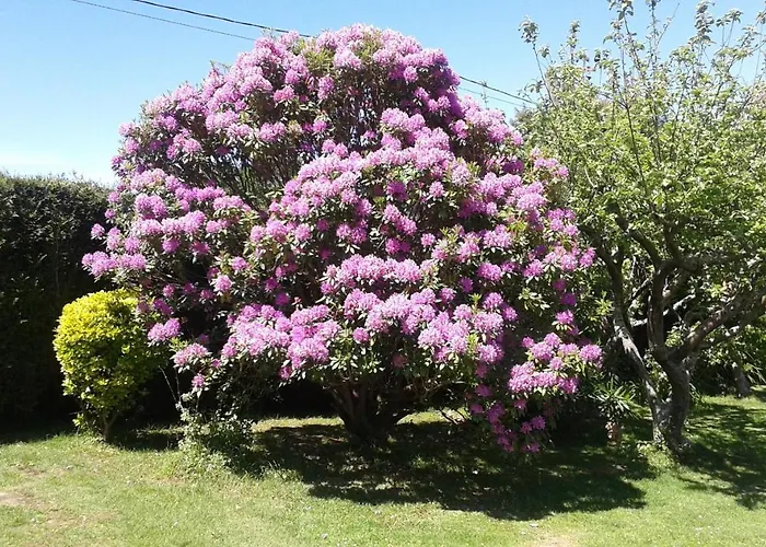 El Otero De Cudillero Сasa de vacaciones Soto de Luiña