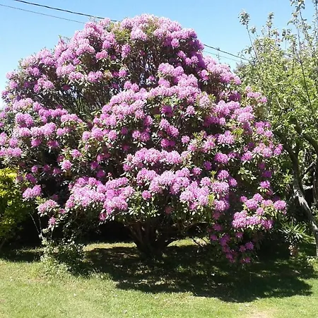 El Otero De Cudillero Dom wakacyjny Soto de Luiña